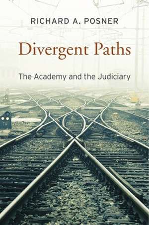 Divergent Paths – The Academy and the Judiciary de Richard A. Posner