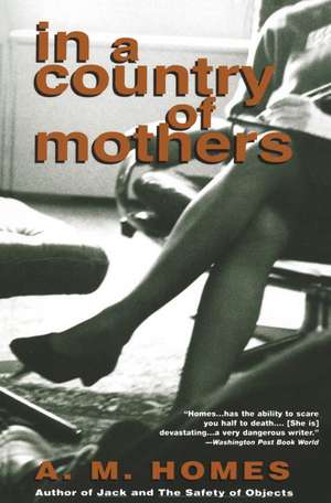 In a Country of Mothers de Am Homes