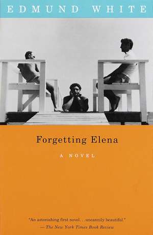 Forgetting Elena de Edmund White