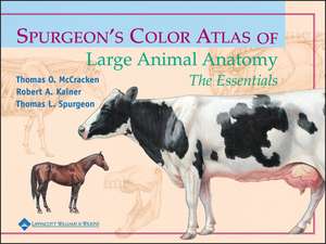 Spurgeon′s Color Atlas of Large Animal Anatomy: The Essentials de T McCracken