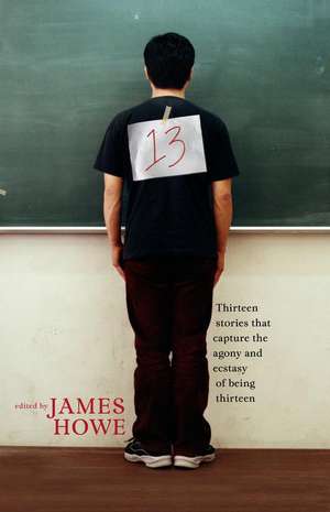 13: Thirteen Stories That Capture the Agony and Ecstasy of Being Thirteen de James Howe