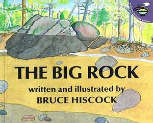 The Big Rock de Bruce Hiscock