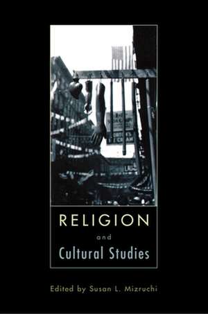 Religion and Cultural Studies de Susan L. Mizruchi