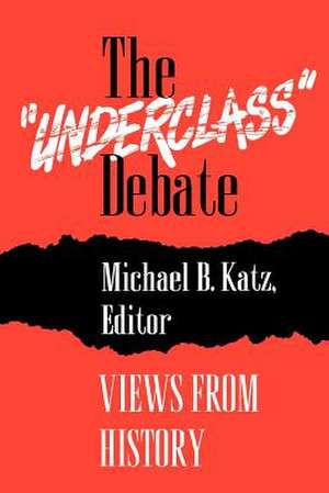 The "Underclass" Debate – Views from History de Michael B. Katz