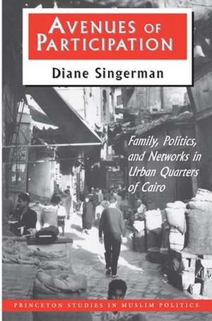 Avenues of Participation – Family, Politics, and Networks in Urban Quarters of Cairo de Diane Singerman