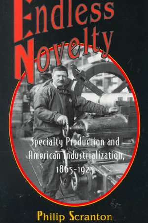 Endless Novelty – Specialty Production and American Industrialization, 1865–1925 de Philip Scranton