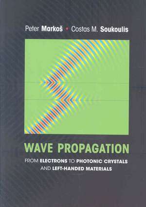 Wave Propagation – From Electrons to Photonic Crystals and Left–Handed Materials de Peter Markos