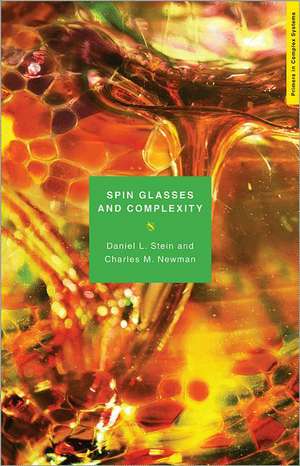 Spin Glasses and Complexity de Daniel L. Stein