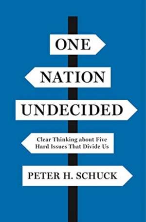 One Nation Undecided – Clear Thinking about Five Hard Issues That Divide Us de Peter H. Schuck