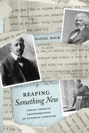 Reaping Something New – African American Transformations of Victorian Literature de Daniel Hack