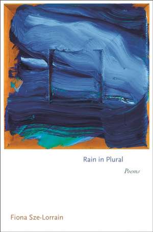 Rain in Plural de Fiona Sze-Lorrain