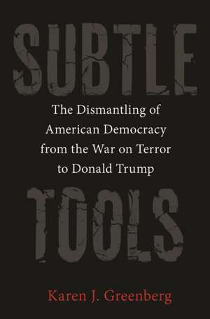 Greenberg, K: Subtle Tools