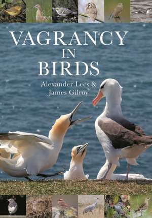 Vagrancy in Birds de Alexander Lees