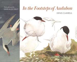 In the Footsteps of Audubon de David Allen Sibley