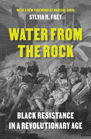Water from the Rock de Sylvia R Frey
