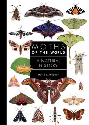 Moths of the World – A Natural History de David Wagner