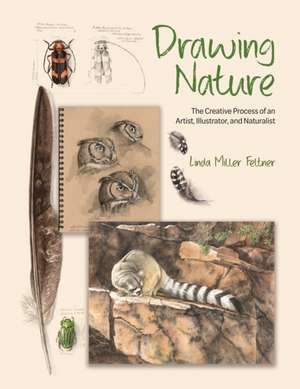 Drawing Nature – The Creative Process of an Artist, Illustrator, and Naturalist de Linda M. Feltner