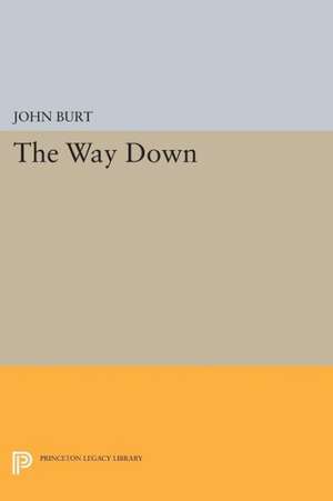 The Way Down de J Burt