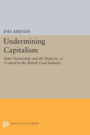 Undermining Capitalism de Joel Krieger