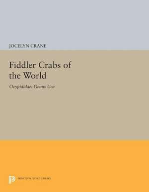 Fiddler Crabs of the World – Ocypodidae: Genus UCA de Jocelyn Crane