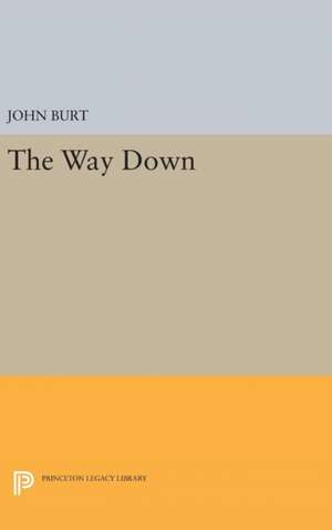 The Way Down de John Burt