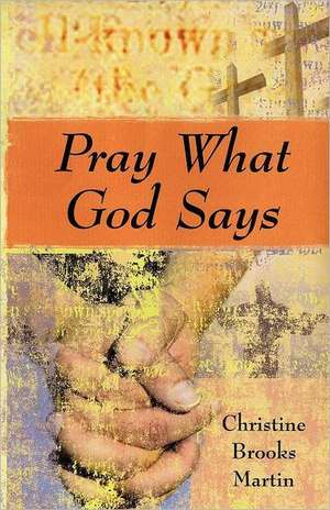 Pray What God Says: Everything You Need to Know from Autistics, Parents, and Professionals de Christine Brooks Martin