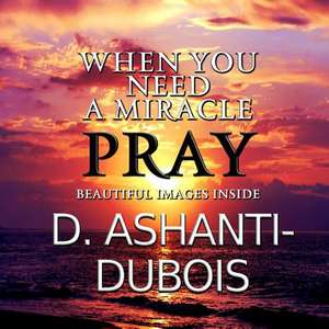 When You Need a Miracle - Pray de D. Ashanti-DuBois