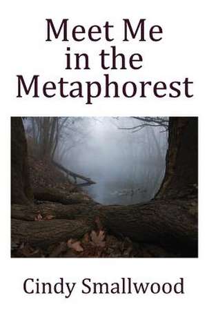 Meet Me in the Metaphorest: Ilsead de Cindy Smallwood