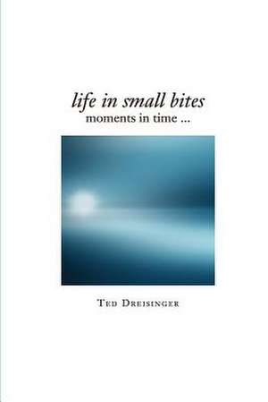 Life in Small Bites de Ted Dreisinger Phd