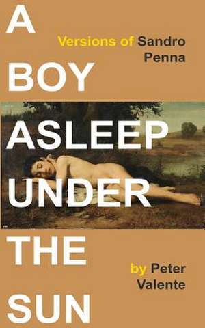 A Boy Asleep Under the Sun de Peter Valente