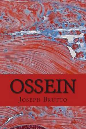 Ossein de Joseph Dorsey Brutto