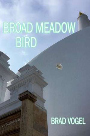 Broad Meadow Bird