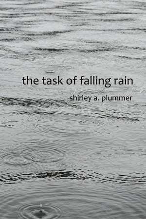 The Task of Falling Rain