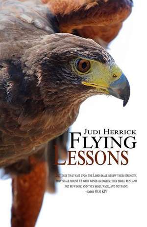 Flying Lessons de Judi Herrick