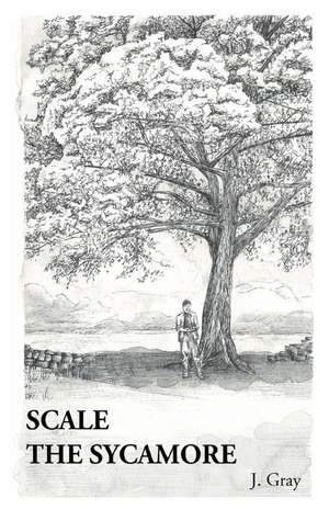 Scale the Sycamore