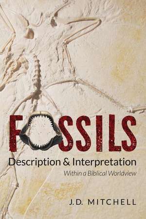 Fossils de Jd Mitchell