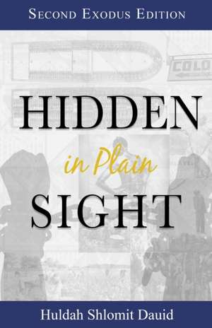 Hidden in Plain Sight de Huldah Dauid