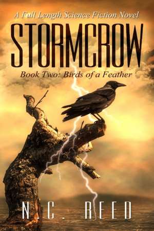 Stormcrow de N. C. Reed