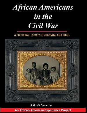 African Americans in the Civil War de J. David Dameron