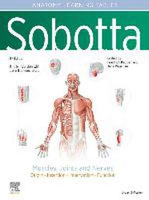 Sobotta Learning Tables of Muscles, Joints and Nerves, English/Latin: Tables to 17th ed. of the Sobotta Atlas de Jens Waschke