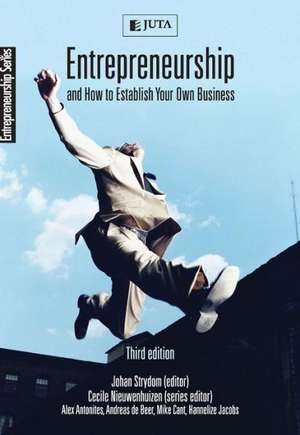 Entrepreneurship & How to Establish Your Own Business: 3rd Edition de Johan W Strydom