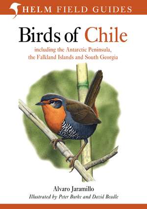 Birds of Chile de David Beadle