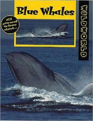 Blue Whales de Patricia Miller-Schroeder
