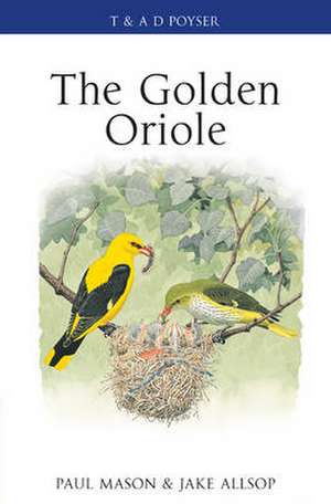 The Golden Oriole de Paul Mason