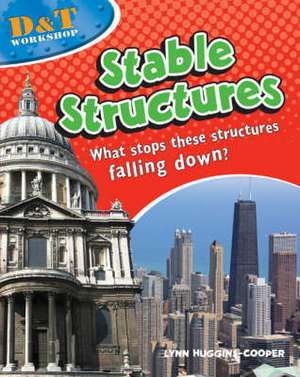 Stable Structures de Lynn Huggins-Cooper