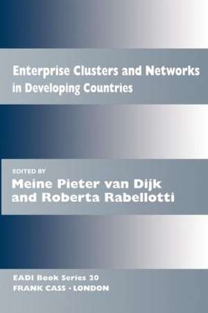 Enterprise Clusters and Networks in Developing Countries de Meine Pieter van Dijk