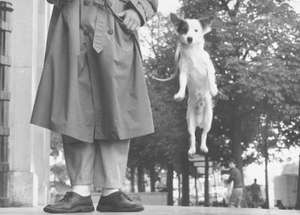 Paris, 1989 - Elliott Erwitt Snaps de Elliott Erwitt