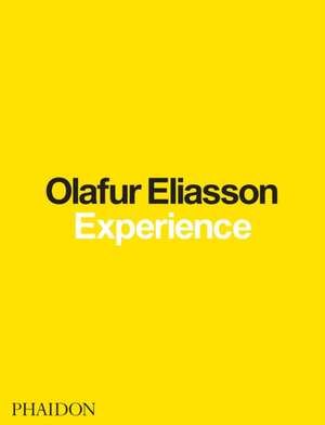 Olafur Eliasson: Experience de Olafur Eliasson