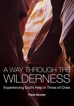 A Way Through the Wilderness de Paula Gooder