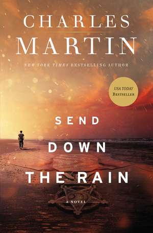 Send Down the Rain de Charles Martin